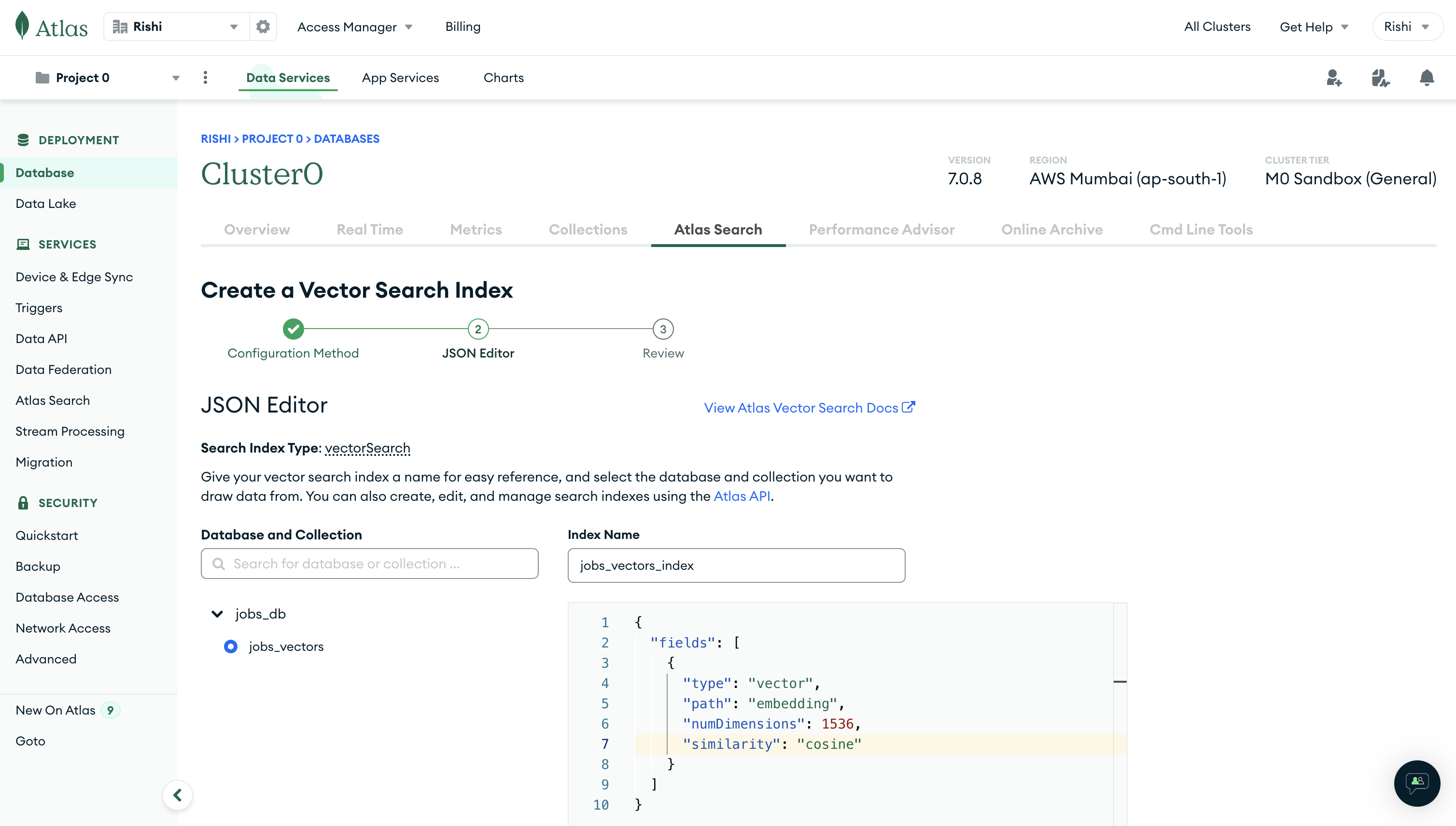 Configure JSON for vector search